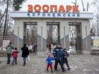 В ближайшее время после карантина по птичьему гриппу начнет работу Воронежский зоопарк