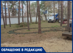 Жительница Воронежа обеспокоена судьбой белок в популярном парке