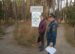 Поджигателей леса в Подгорном на мотоциклах разыскивают в Воронеже