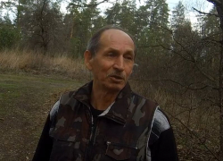 Воронежец насчитал 30 мертвых черепах в озере, где чиновники не увидели массовой гибели