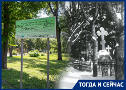 Играли черепами в футбол: как на месте кладбища появились парк и цирк в Воронеже 