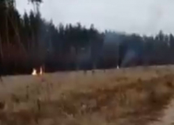 Уничтожение соснового леса огнем записали на видео в Воронеже