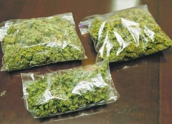 Полицейские нашли в сарае воронежца 100 граммов конопли
