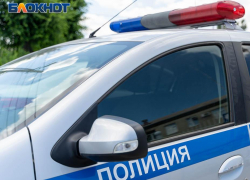 Полиция разыскивает водителя, который сбил пешехода в садоводческом товариществе под Воронежем