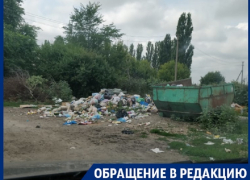 Погода в воронежском совхозе