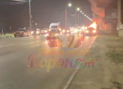 Опубликовано видео с загоревшейся иномаркой на Северном мосту Воронежа