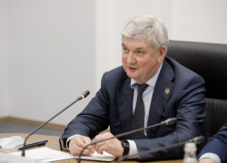 Александр Гусев призвал воронежских депутатов включаться в создание программы развития региона