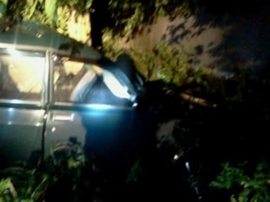 В Воронежской области  «семерка» врезалась в дерево: есть погибший