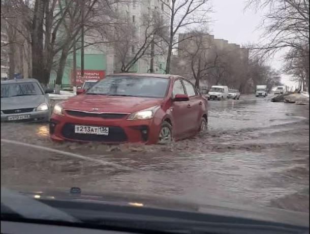 Воронежский водитель снял на видео «морские волны» на Беговой
