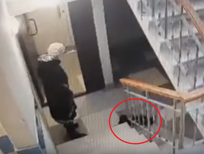 Убийство в воронеже в подъезде. Тамара самсонова гренни. Преступление и наказание причины преступления. Родион раскольников убийство старухи процентщицы. Старуха-процентщица алена ивановна.