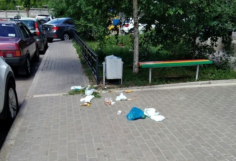 Воронежцев, загадивших мусором двор, соседи прославили на весь подъезд