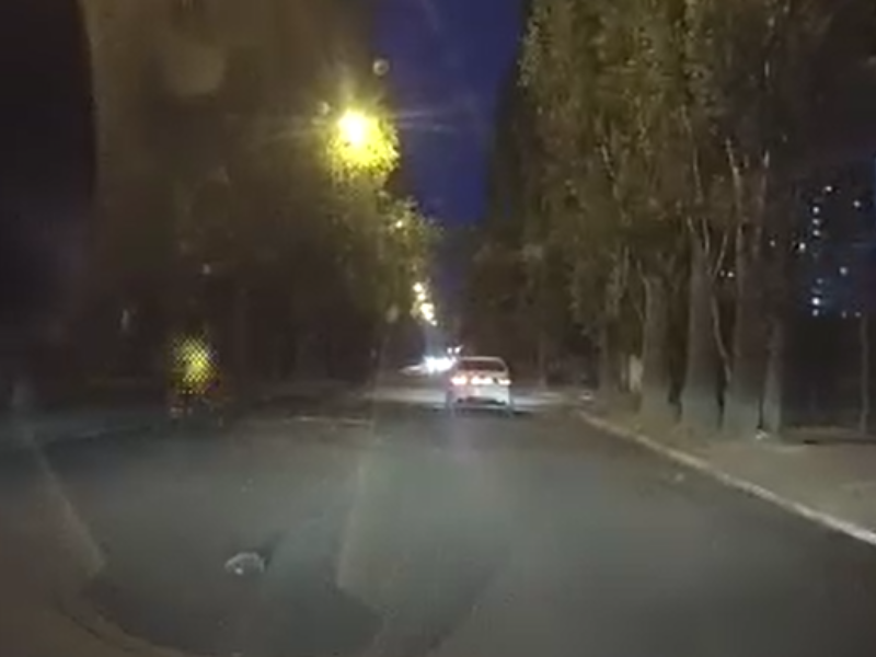 Водитель галантно помог перейти дорогу ежику в Воронеже