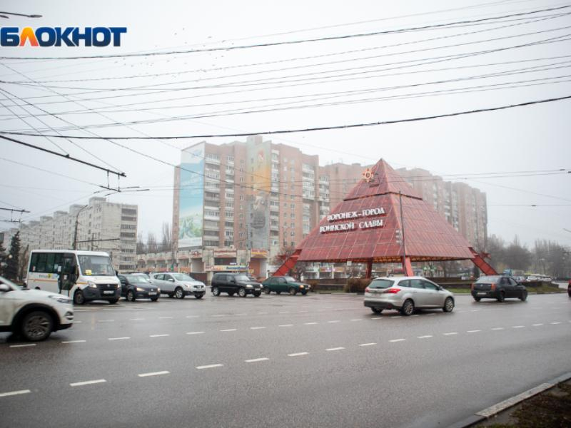 Желтый уровень опасности объявили в Воронежской области из-за ветра