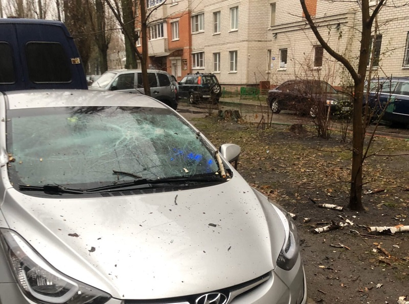 Неприглядные последствия капризной стихии показали на фото в Воронеже