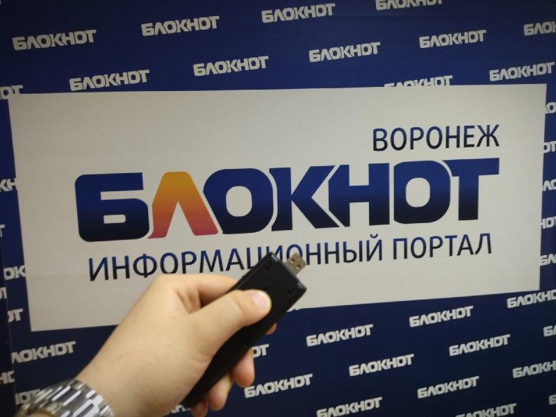 Воронежец рискует сесть на 6 лет за продажу флешки с пиратскими фильмами
