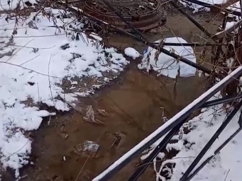Мощный фекальный потоп сняли на видео на зимней дороге в Воронеже