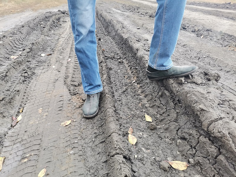 Лужи, грязь и колеи: как двухкилометровая улица существует без асфальта в воронежском селе