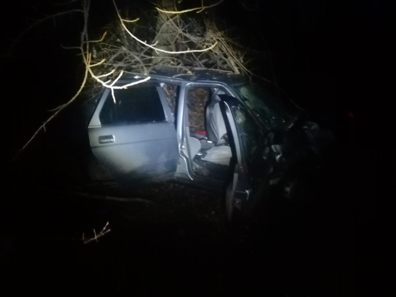 Жуткие фото с места ДТП с двумя пострадавшими показали под Воронежем