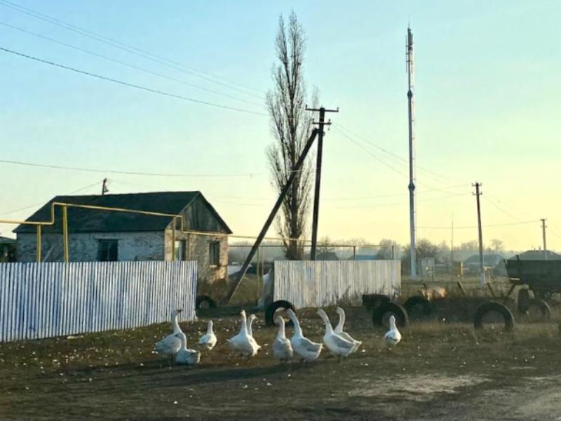 Скорости село. Интернет в селе. Оптоволокно в селах. Сел. Тамбовская область, село большая карианка.