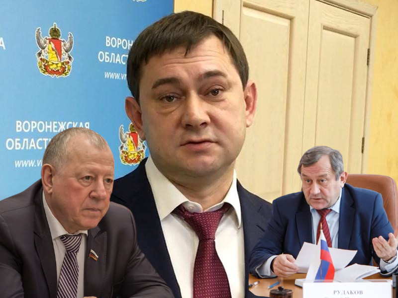 Спикер Нетёсов и его замы Колосков и Рудаков подорожают для воронежцев на 3 млн рублей