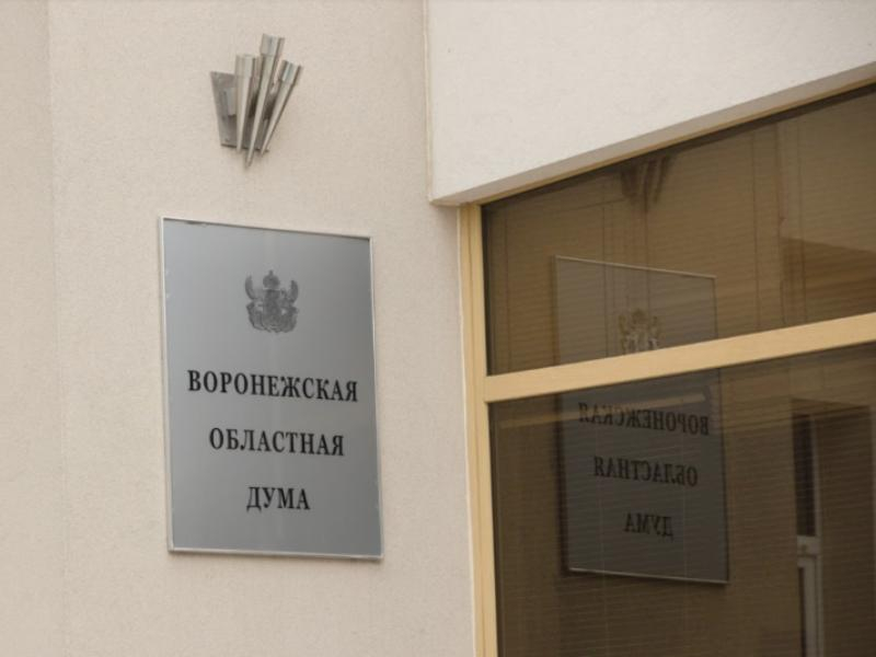 Воронежские депутаты поддержали законопроект о введении обязательных QR-кодов