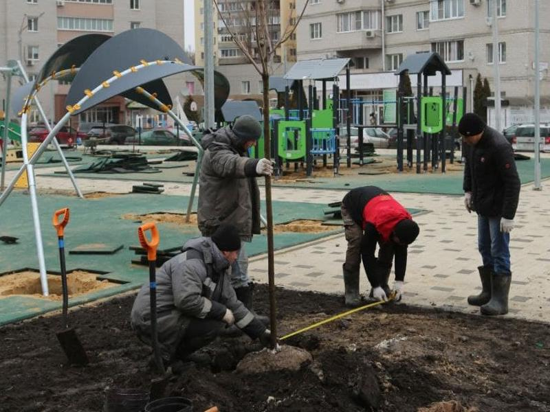 В Воронеже высадят 150 новых деревьев