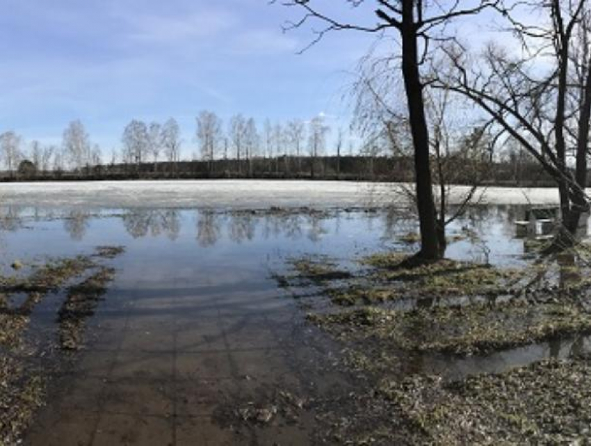 Савала река Воронежская. Когда вода выходит из берегов как называется.